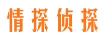 巢湖市调查公司